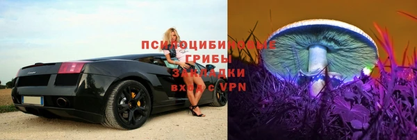 эйфоретик Бородино