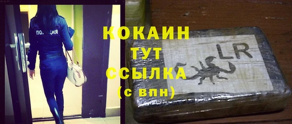 эйфоретик Бородино