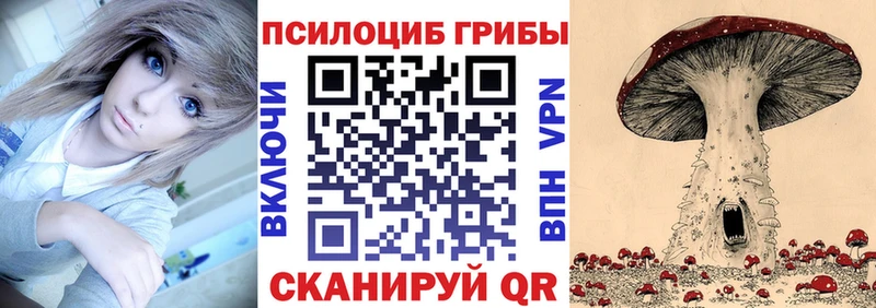 Псилоцибиновые грибы Magic Shrooms  Шебекино 